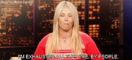 SatisfiedBossyDutchshepherddog-small